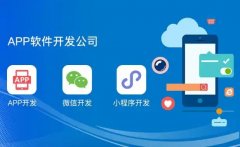 App开发社交教育互联网医院找房旅游货运物联网